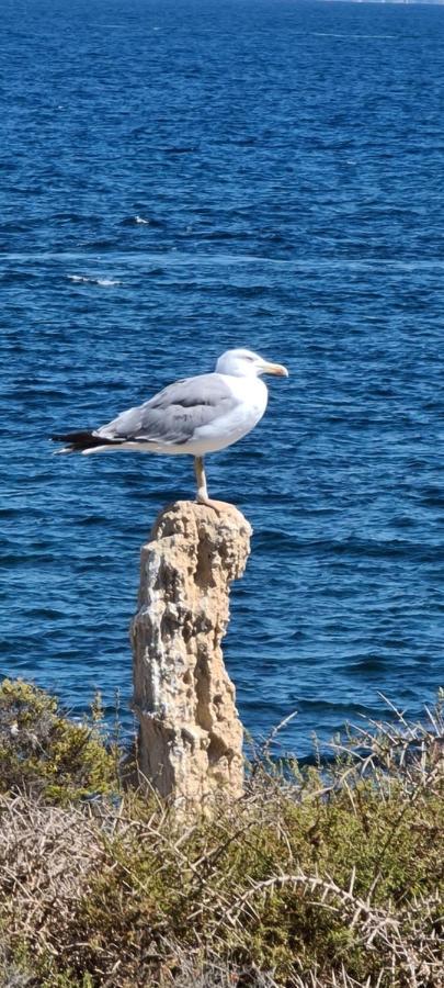 75 Avinguda De Murcia Santa Pola Ngoại thất bức ảnh